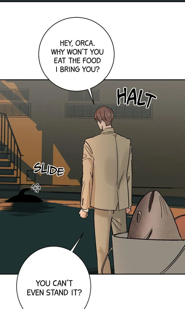 Incident Named Tsunami: Killer Whale Hunting Method chapter 56 page 42