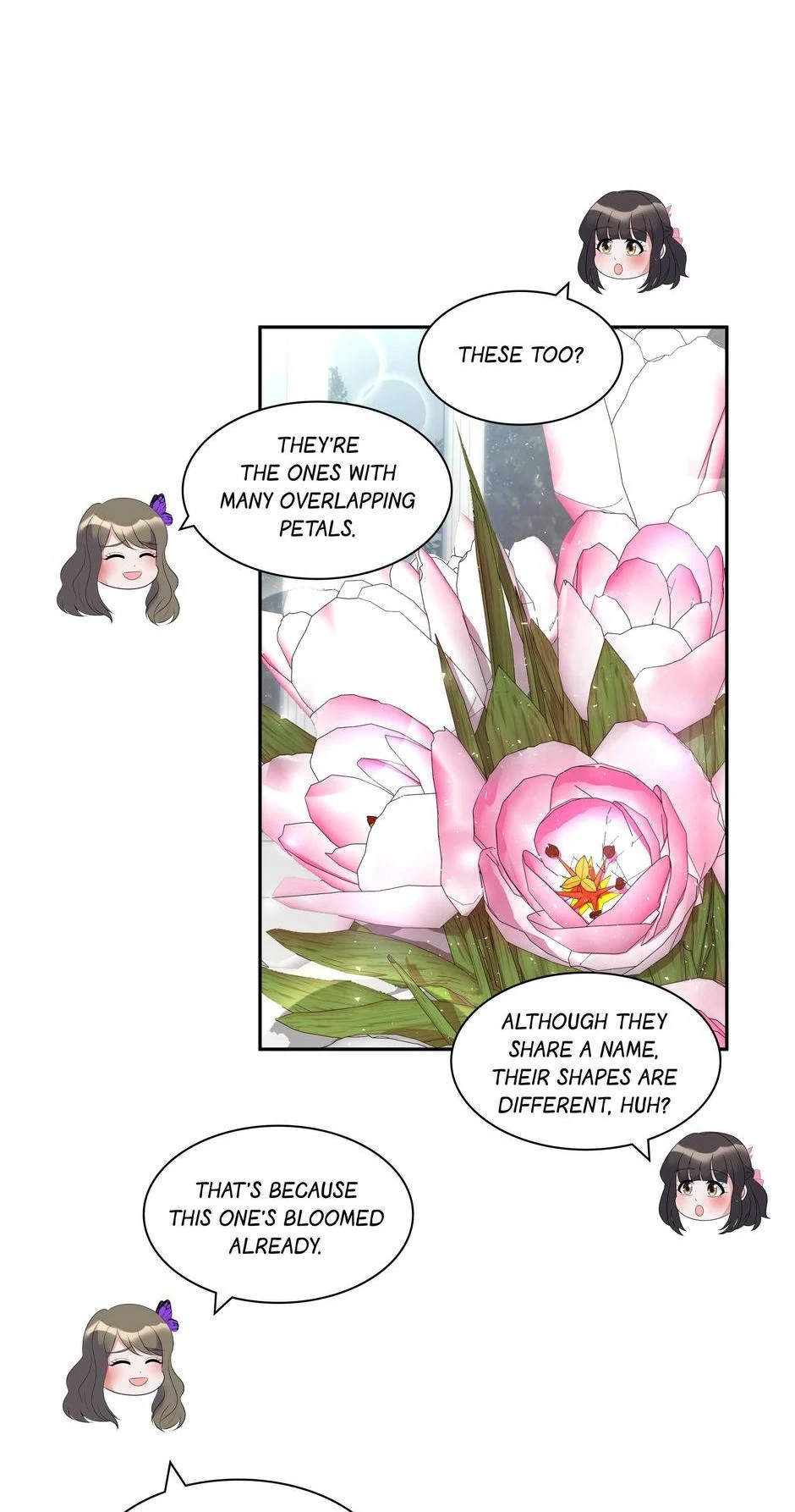 No Marriage, Angel! chapter 50 page 45