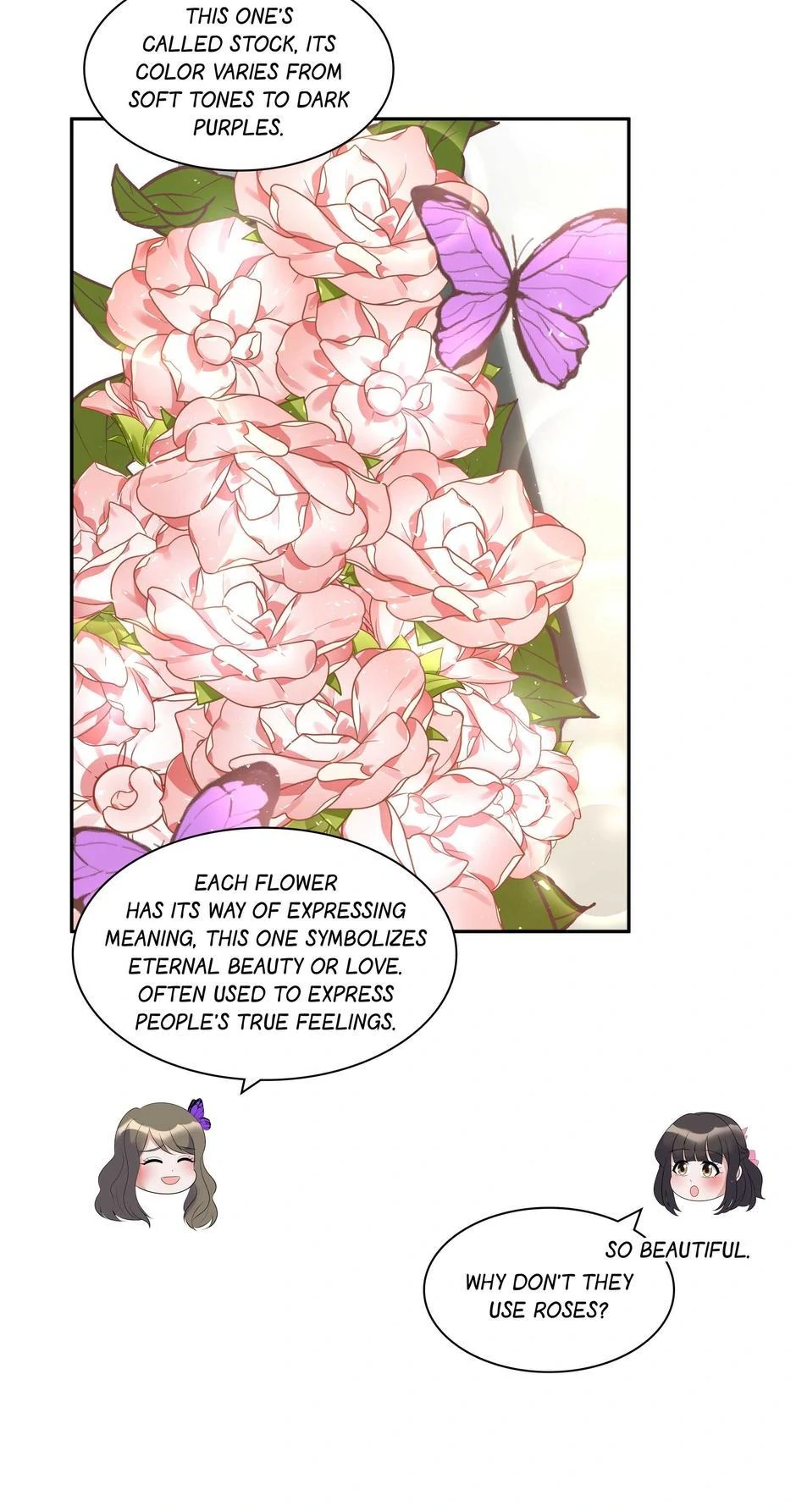 No Marriage, Angel! chapter 50 page 46