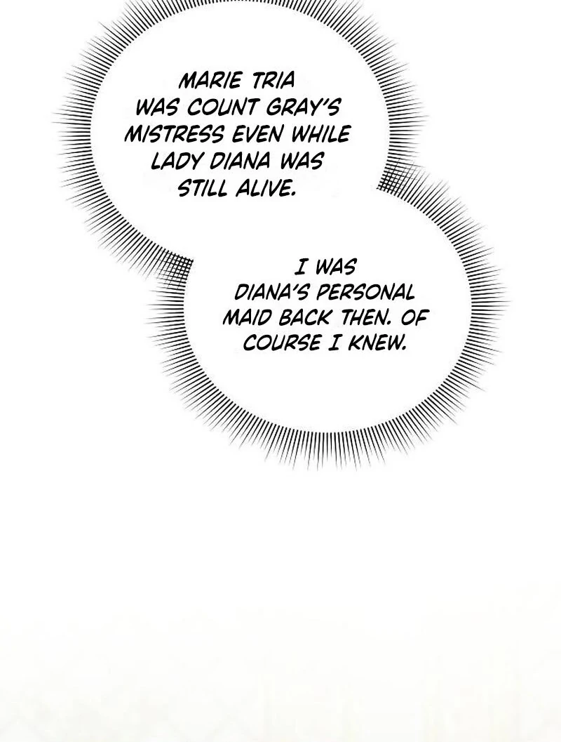 A Revenge Guide for the Terminally Ill Maid chapter 24 page 68