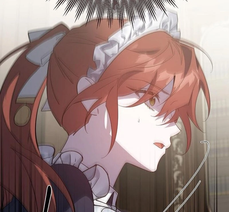 A Revenge Guide for the Terminally Ill Maid chapter 42 page 97