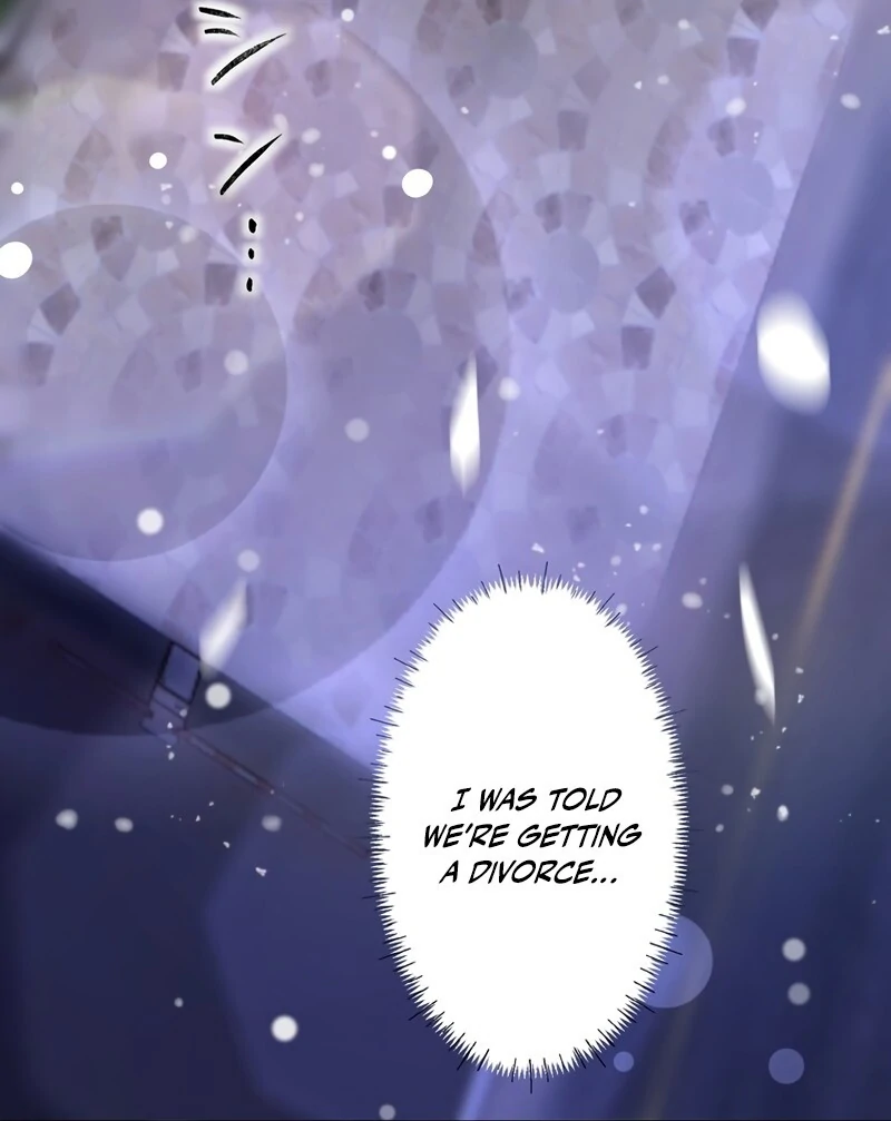 If a Second Marriage Can Save You chapter 2 page 57