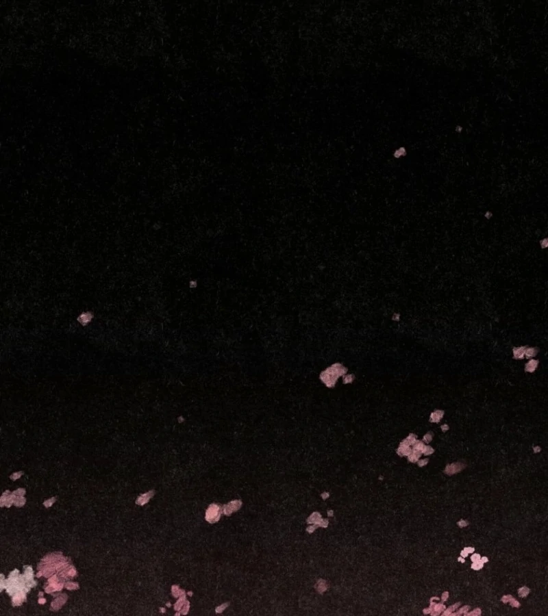 The Summer Swallowed by Darkness chapter 18 page 2