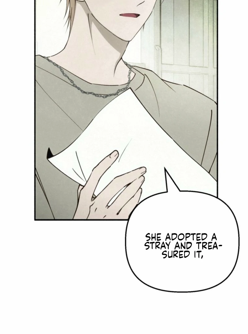 The Summer Swallowed by Darkness chapter 22 page 9