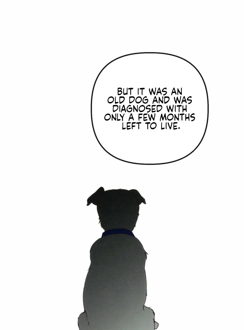 The Summer Swallowed by Darkness chapter 22 page 10