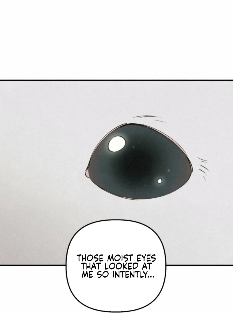 The Summer Swallowed by Darkness chapter 22 page 53