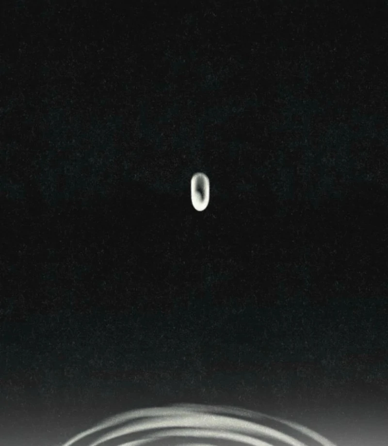 The Summer Swallowed by Darkness chapter 31 page 51