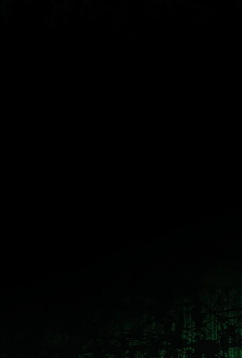 The Summer Swallowed by Darkness chapter 65 page 67