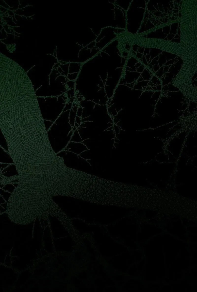 The Summer Swallowed by Darkness chapter 65 page 66