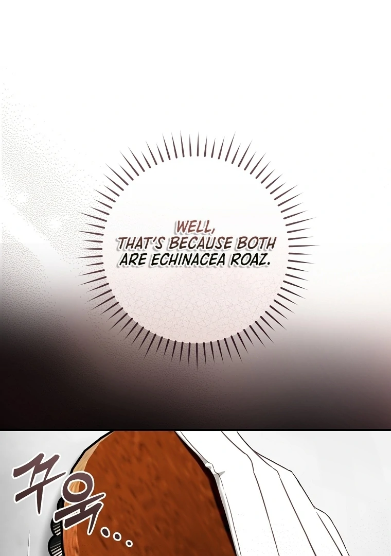 The Flower Who Bears The Sword chapter 12 page 36