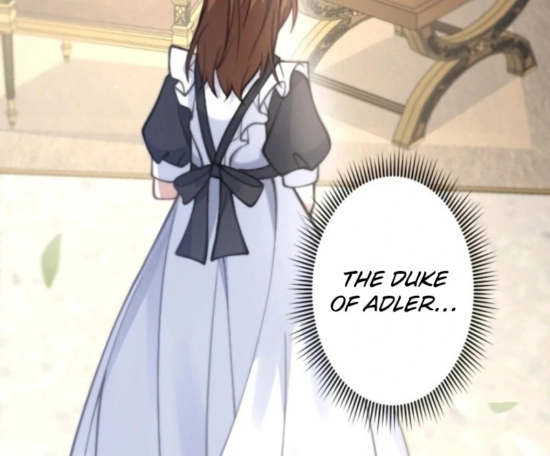 The Dowager’s Radiant Rise chapter 2 page 66