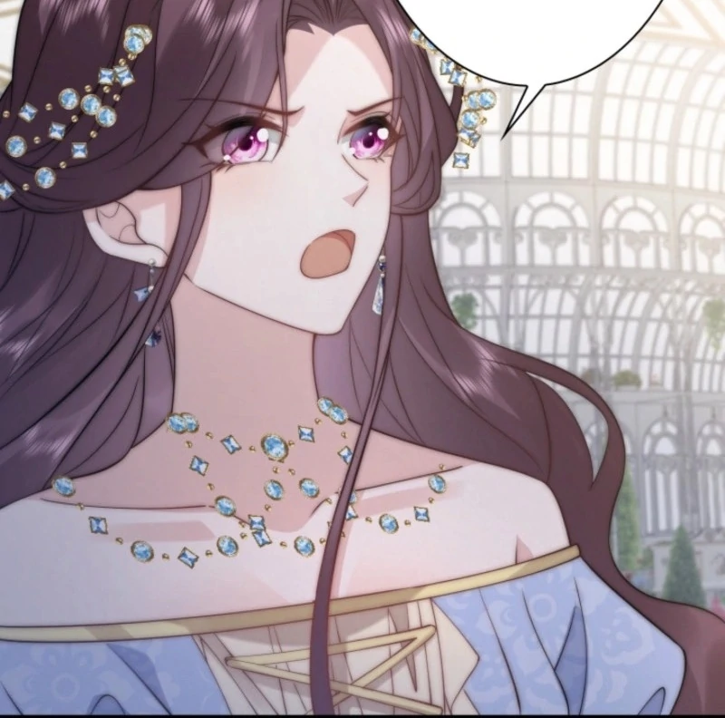 The Dowager’s Radiant Rise chapter 3 page 5