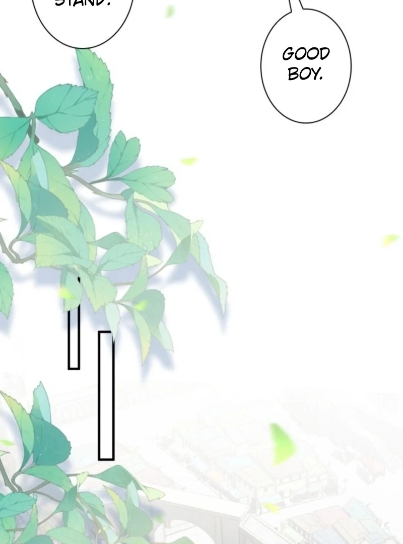 The Dowager’s Radiant Rise chapter 5 page 84