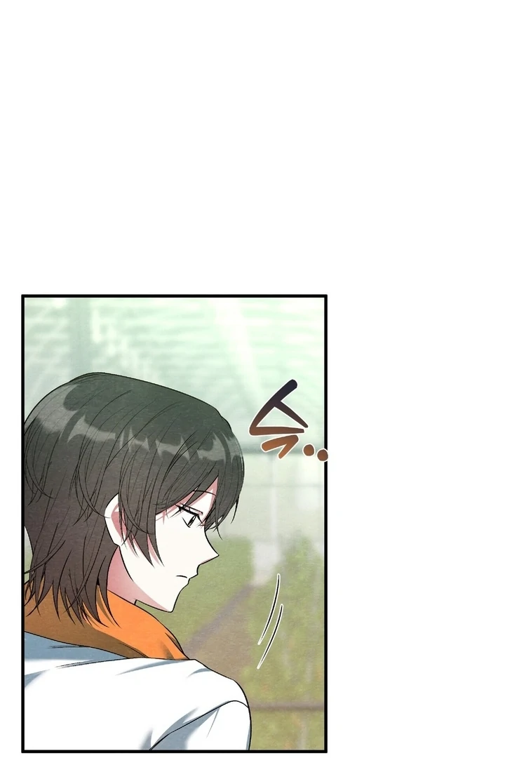 To My Apricot Hill chapter 16 page 38