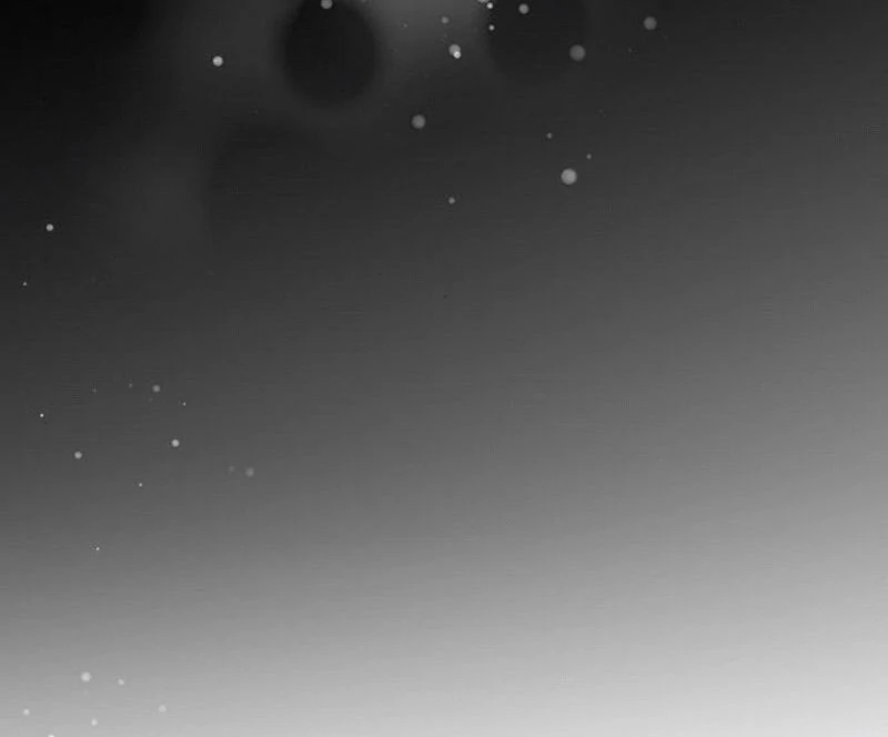 Do Your Best and Regret chapter 13 page 54