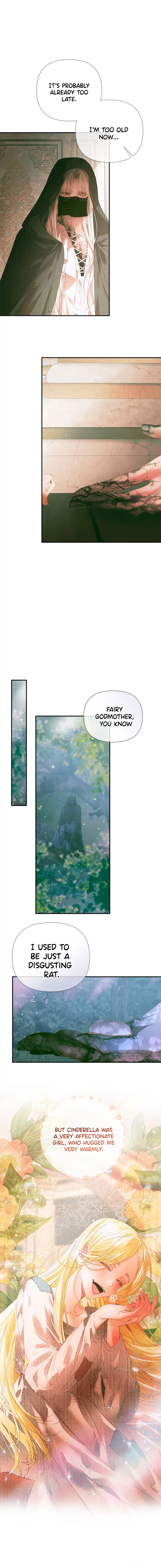 This wild mouse has taken Cinderella chapter 0 page 8