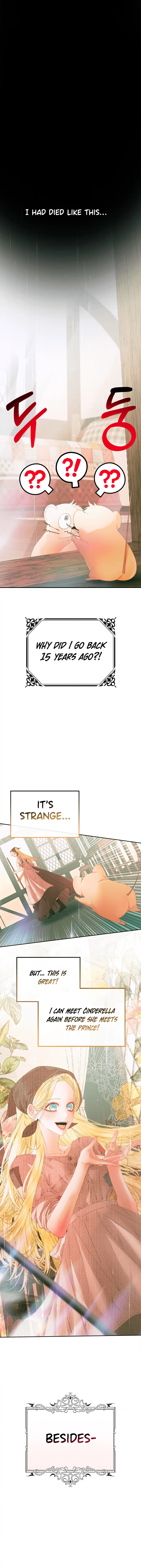 This wild mouse has taken Cinderella chapter 0 page 10