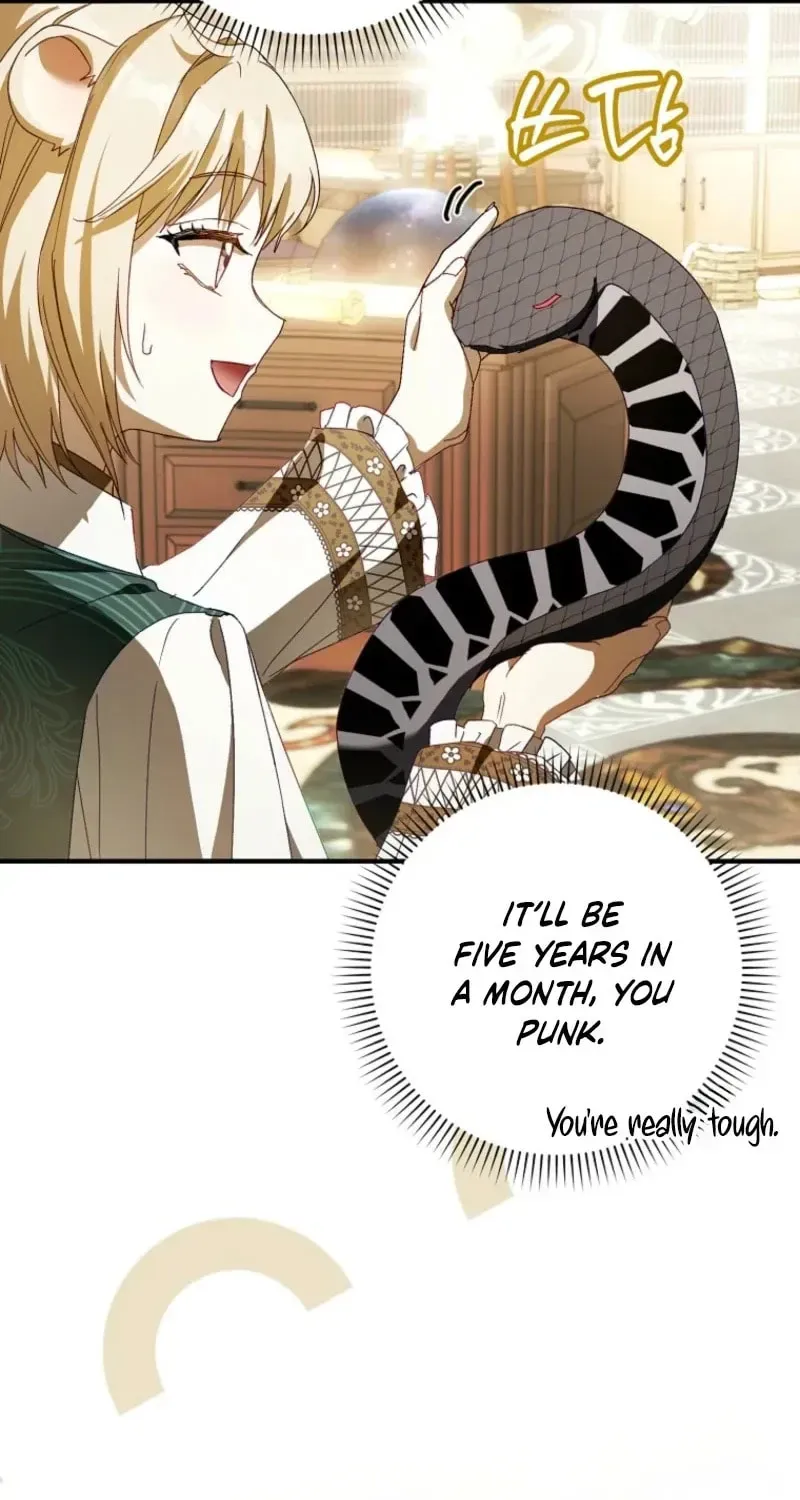 This wild mouse has taken Cinderella chapter 45 page 47