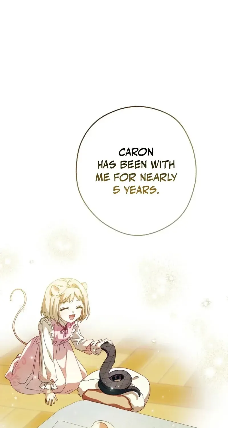 This wild mouse has taken Cinderella chapter 45 page 84