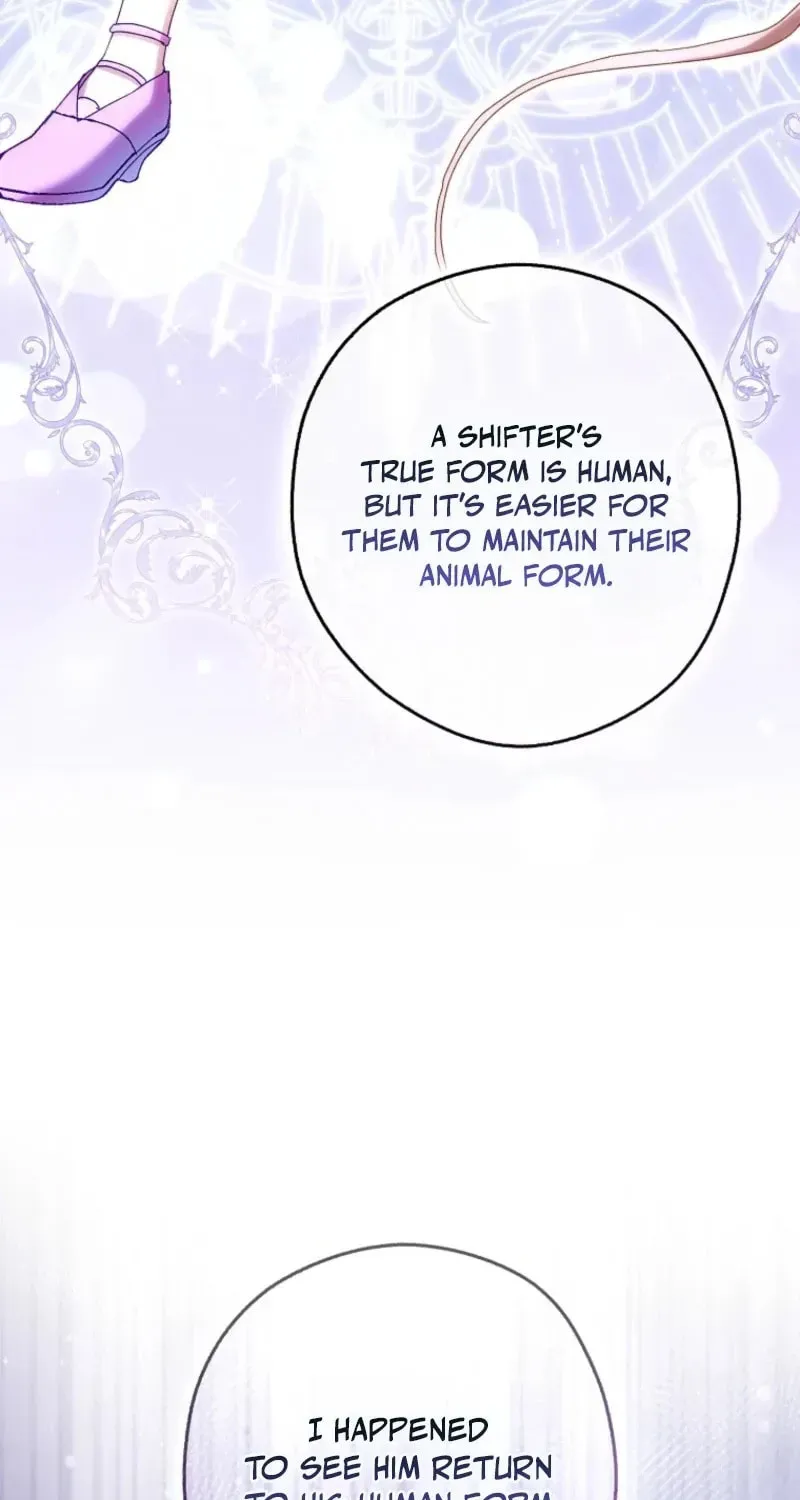 This wild mouse has taken Cinderella chapter 45 page 91