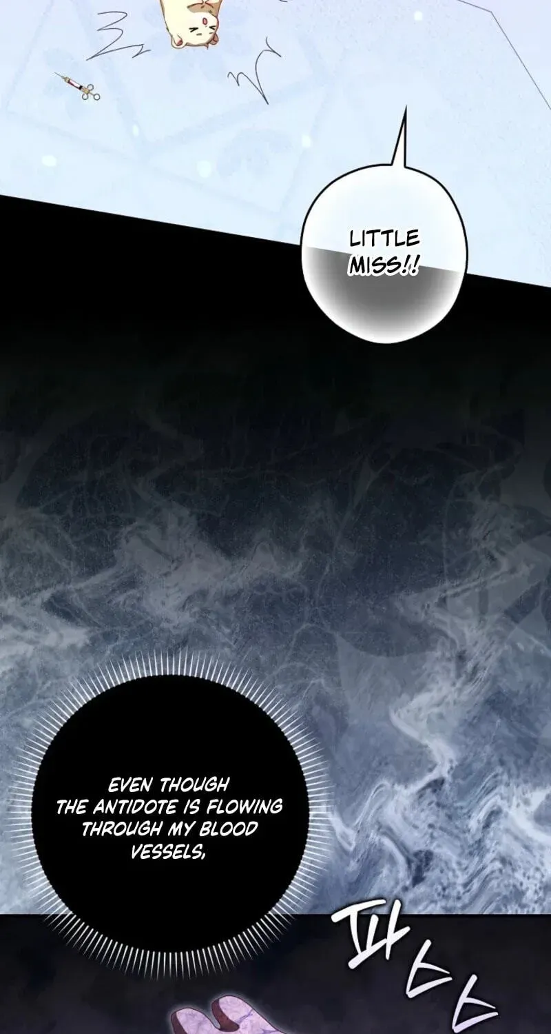 This wild mouse has taken Cinderella chapter 47 page 90