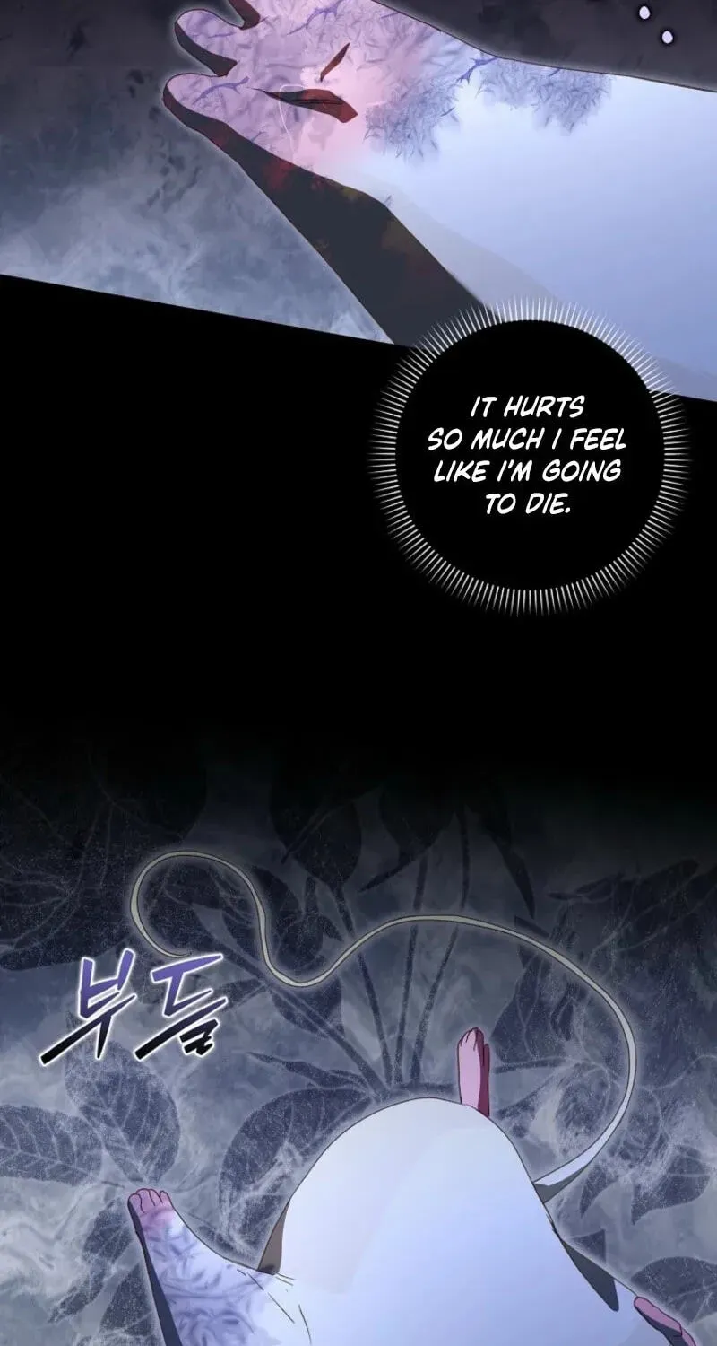This wild mouse has taken Cinderella chapter 47 page 91
