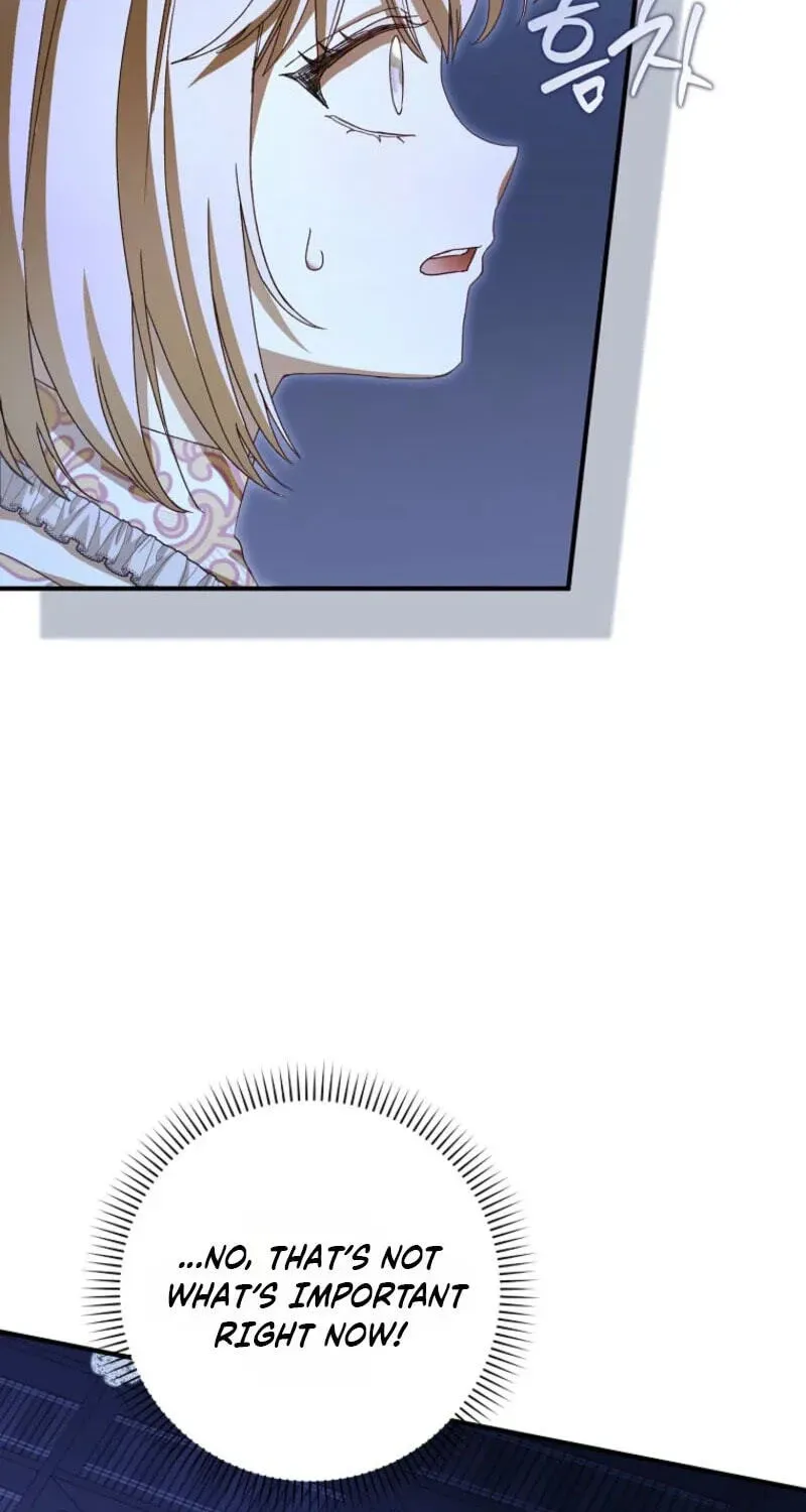 This wild mouse has taken Cinderella chapter 48 page 73
