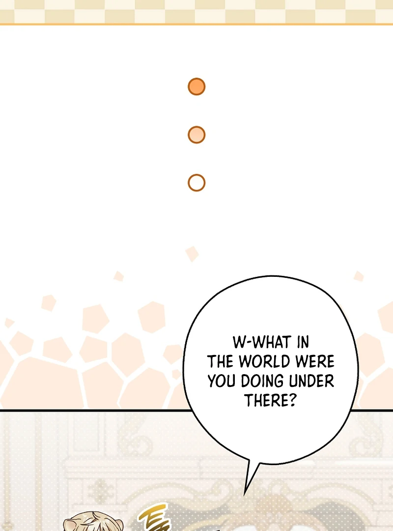 This wild mouse has taken Cinderella chapter 9 page 17