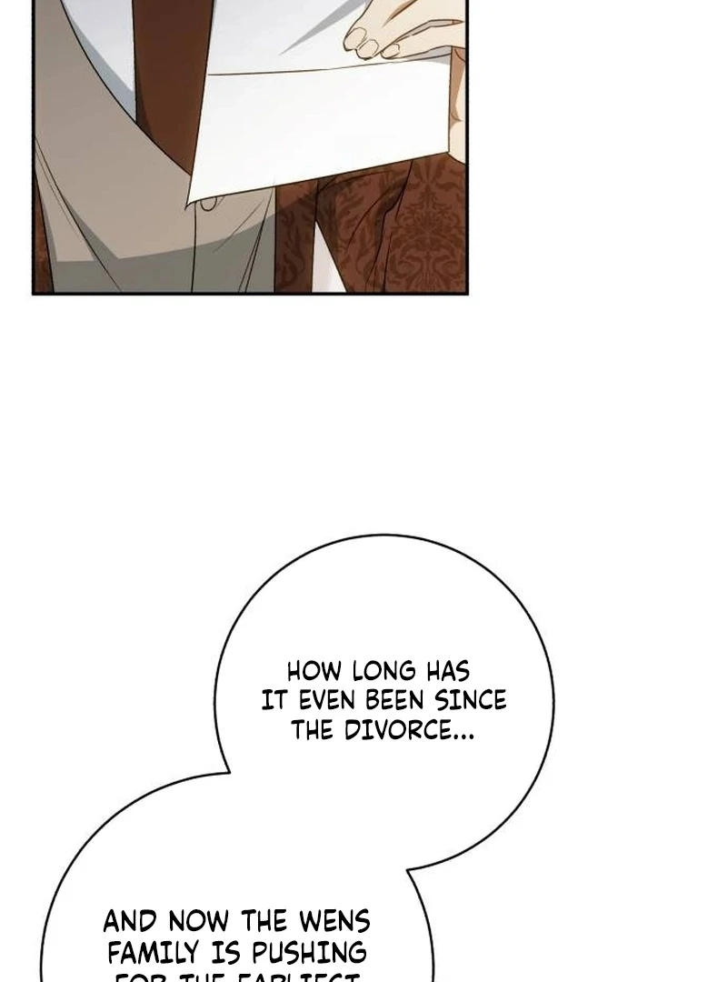 My Husband Was Stolen Twice chapter 17 page 26