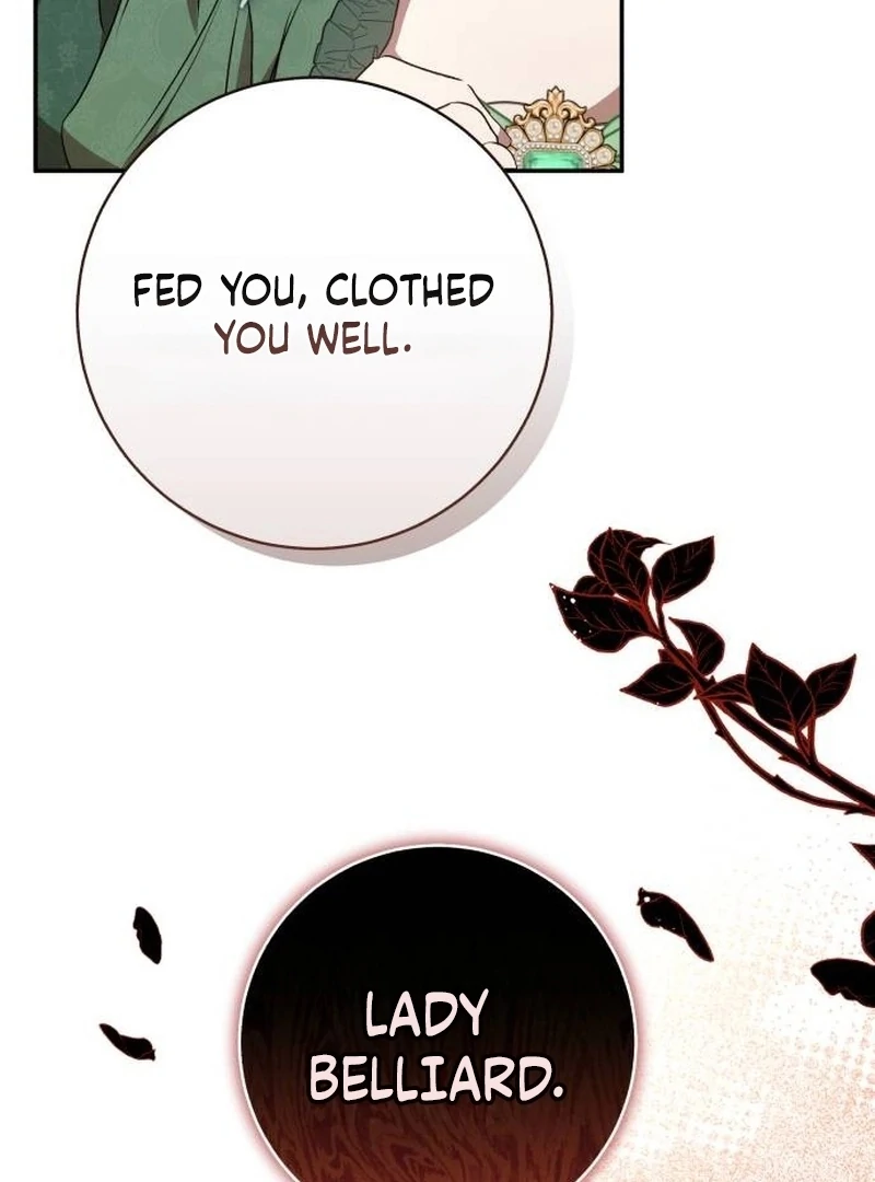 My Husband Was Stolen Twice chapter 17 page 57