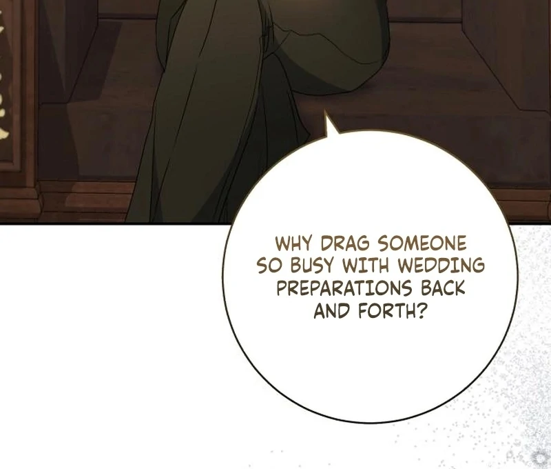 My Husband Was Stolen Twice chapter 18 page 103