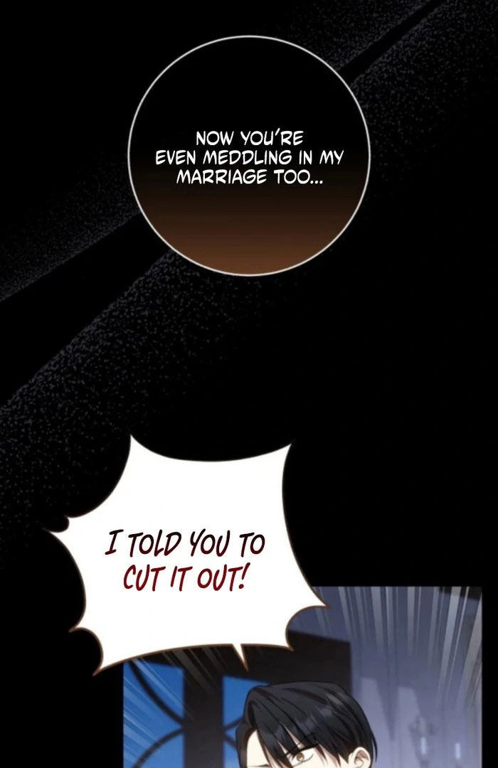 My Husband Was Stolen Twice chapter 19 page 3