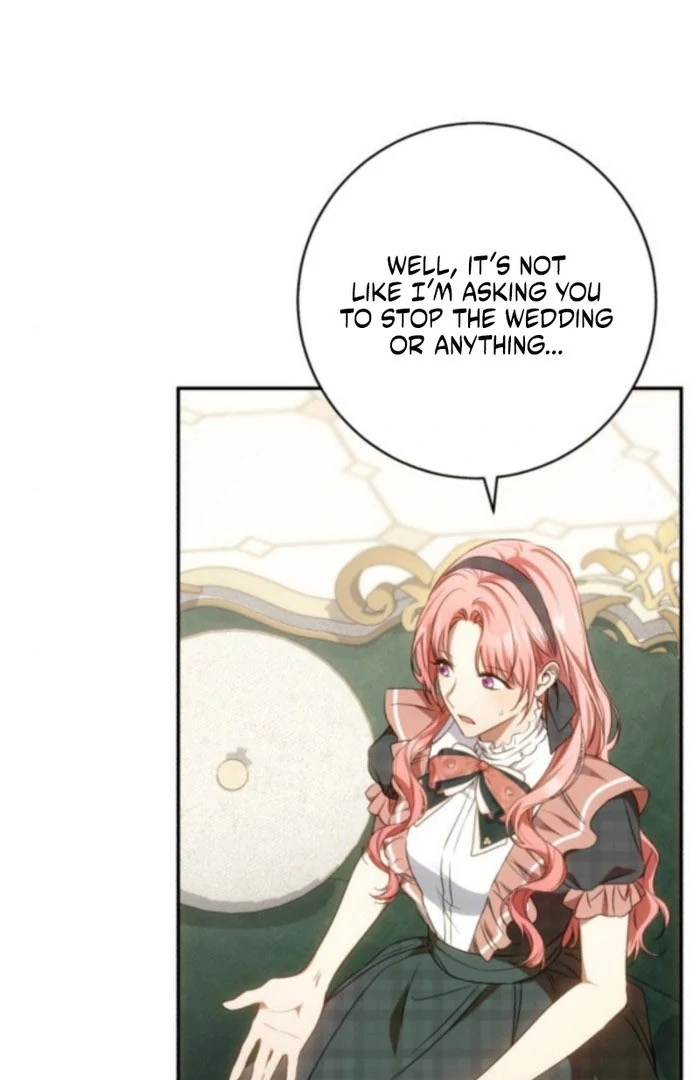 My Husband Was Stolen Twice chapter 19 page 41