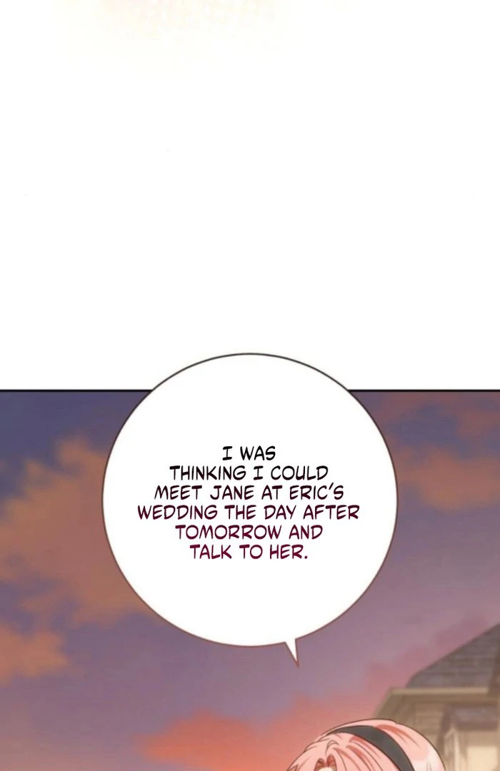 My Husband Was Stolen Twice chapter 19 page 95