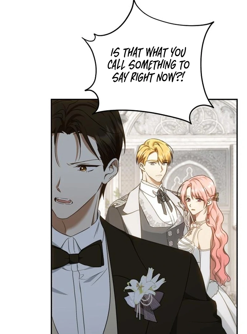 My Husband Was Stolen Twice chapter 21 page 85