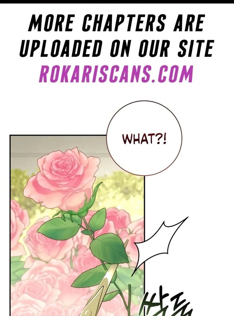 My Husband Was Stolen Twice chapter 25 page 2