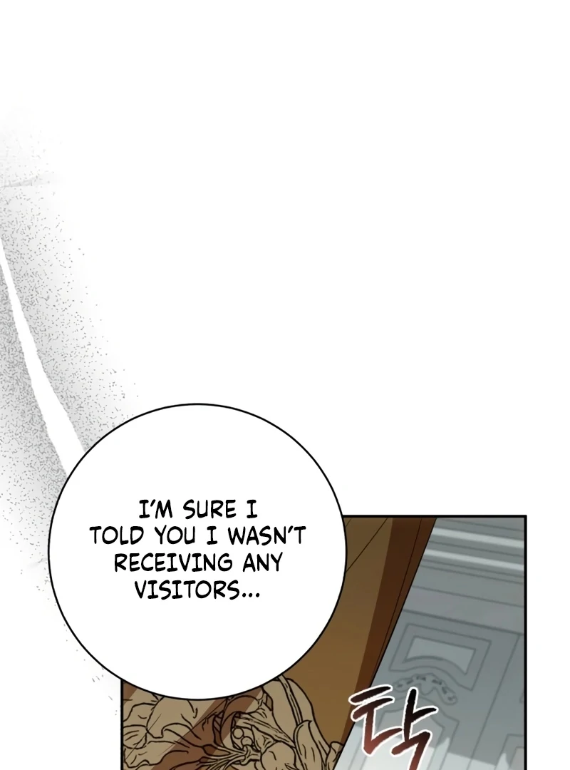 My Husband Was Stolen Twice chapter 25 page 5