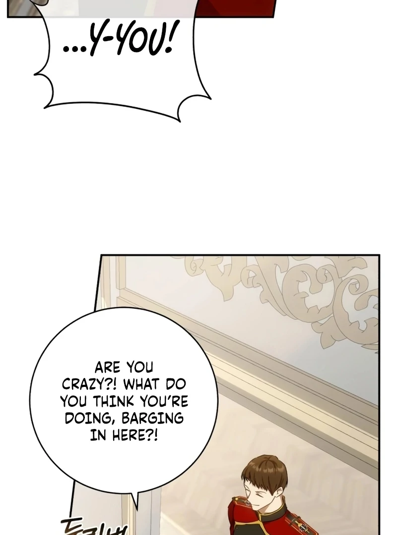 My Husband Was Stolen Twice chapter 25 page 83