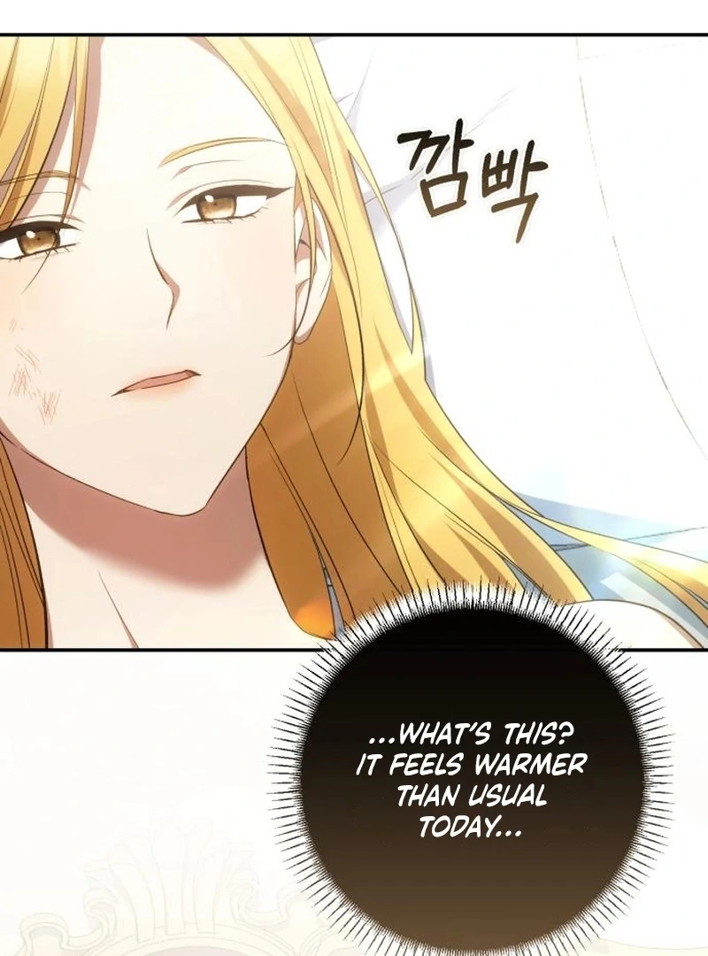 My Husband Was Stolen Twice chapter 26 page 4