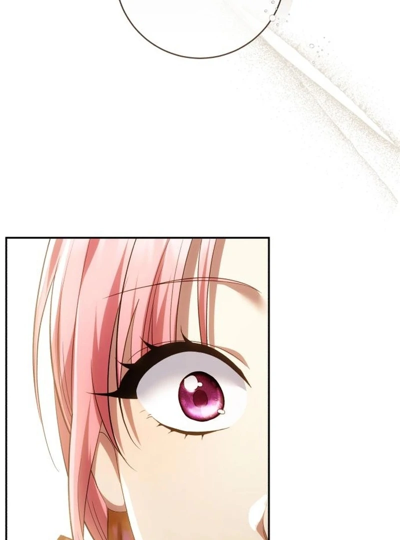 My Husband Was Stolen Twice chapter 26 page 82