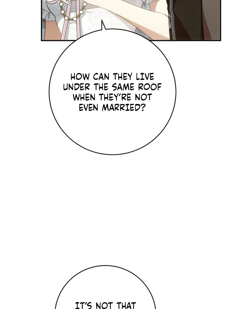 My Husband Was Stolen Twice chapter 26 page 95