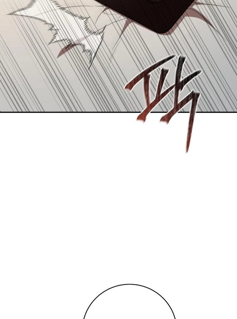 My Husband Was Stolen Twice chapter 28 page 3
