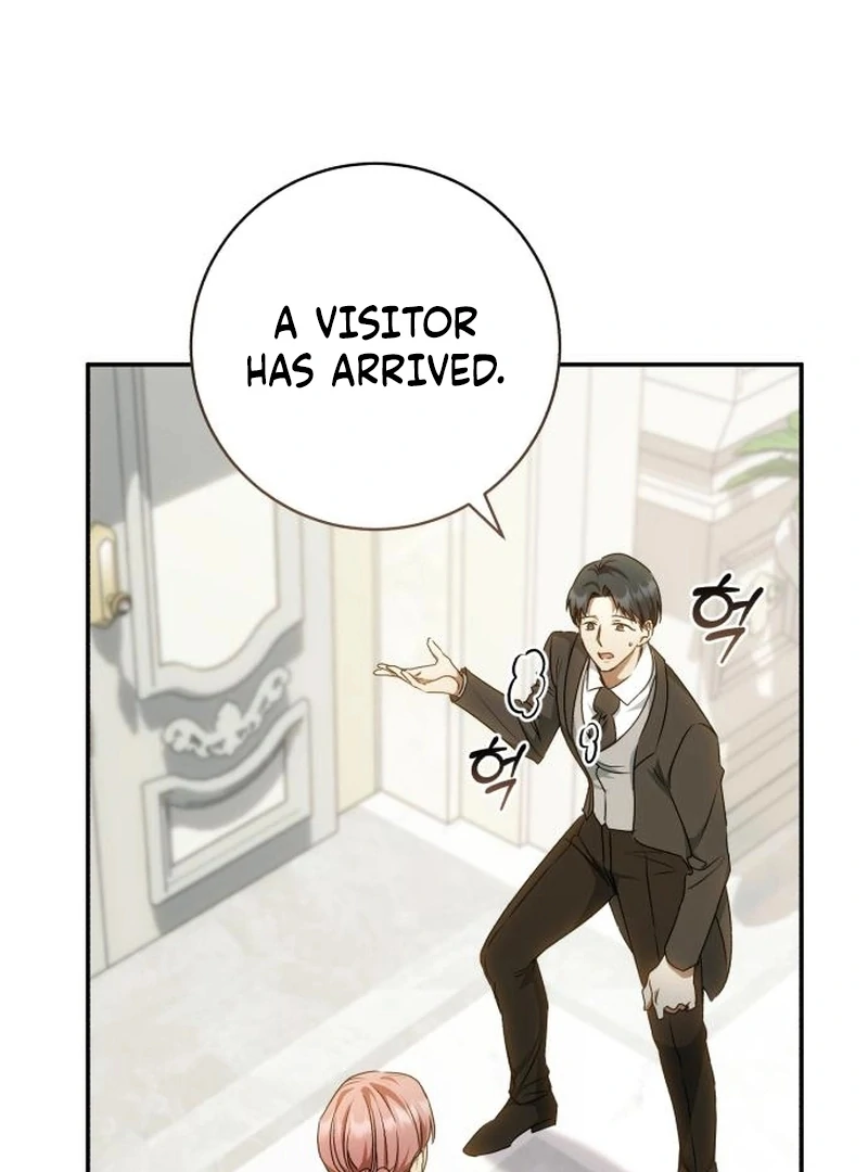 My Husband Was Stolen Twice chapter 28 page 27