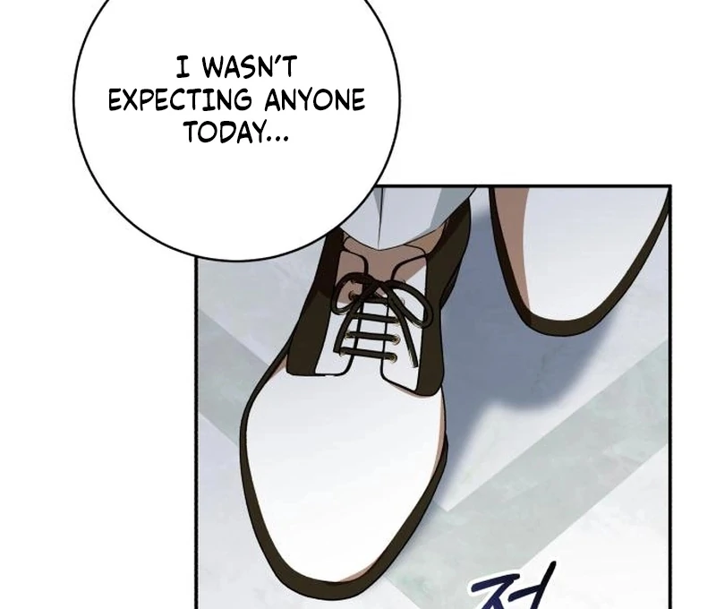 My Husband Was Stolen Twice chapter 28 page 29
