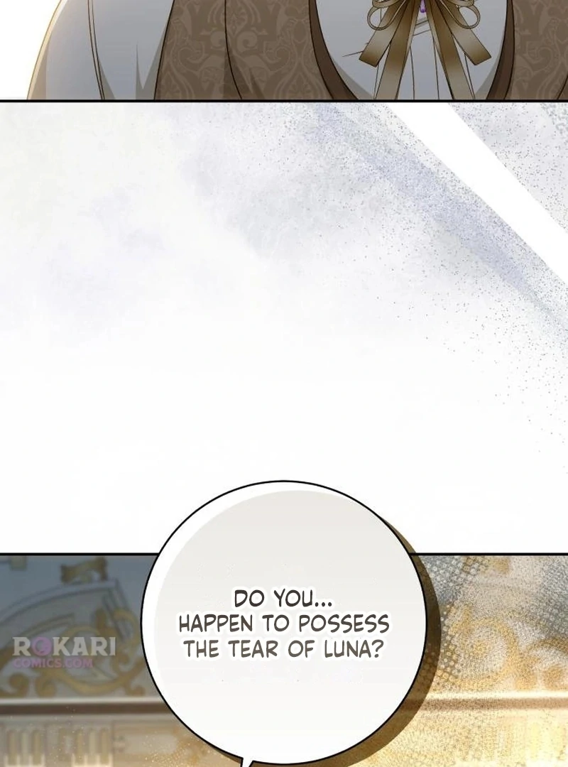 My Husband Was Stolen Twice chapter 29 page 70