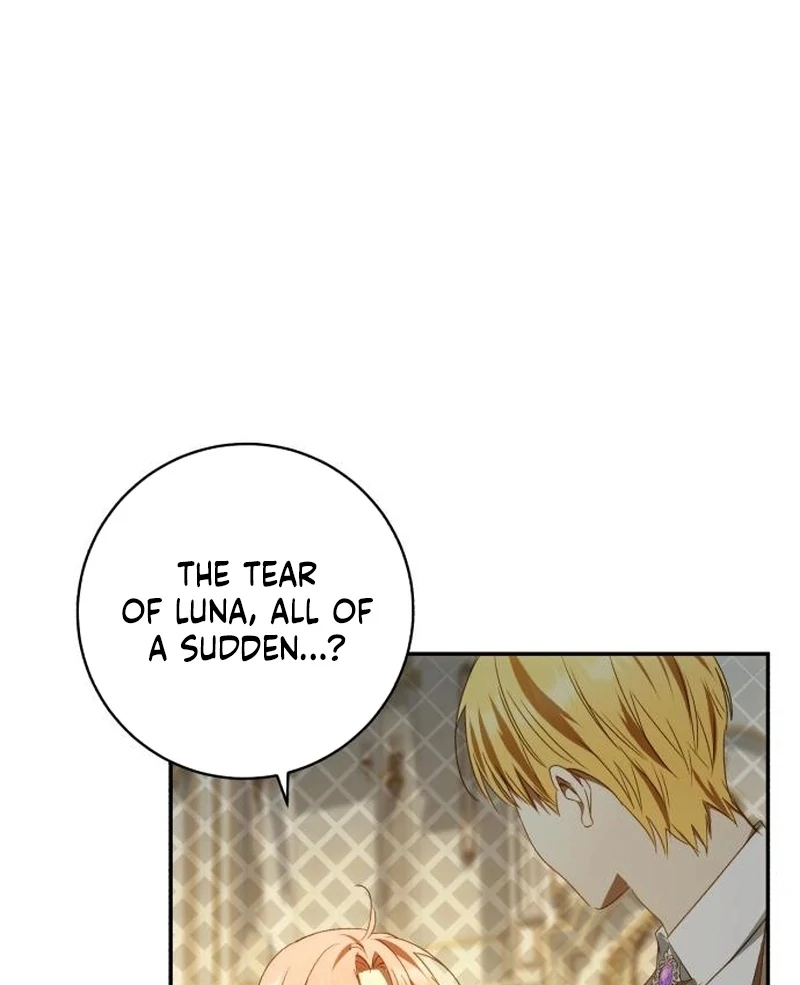 My Husband Was Stolen Twice chapter 29 page 72