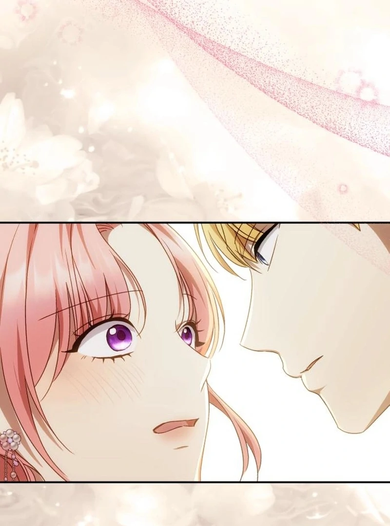 My Husband Was Stolen Twice chapter 29 page 86