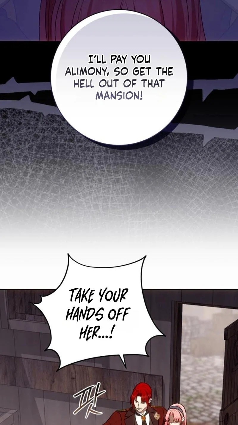 My Husband Was Stolen Twice chapter 52 page 66