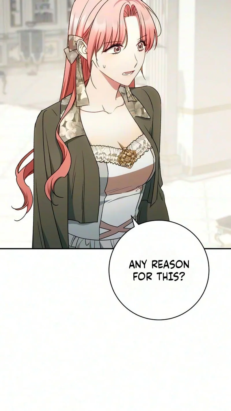 My Husband Was Stolen Twice chapter 55 page 74