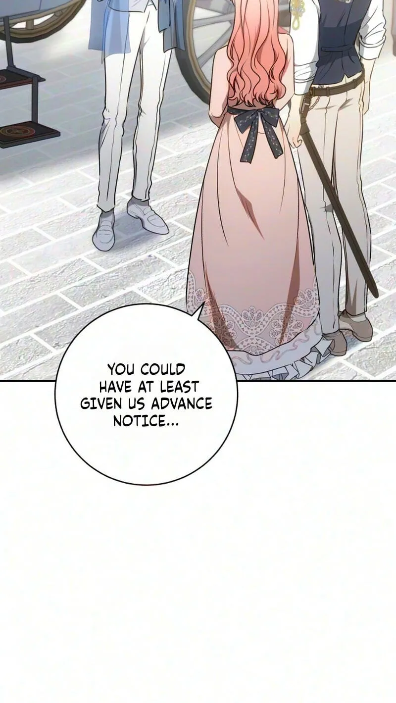 My Husband Was Stolen Twice chapter 55 page 5